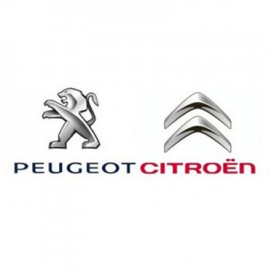 Peugeot-Citroen (14)